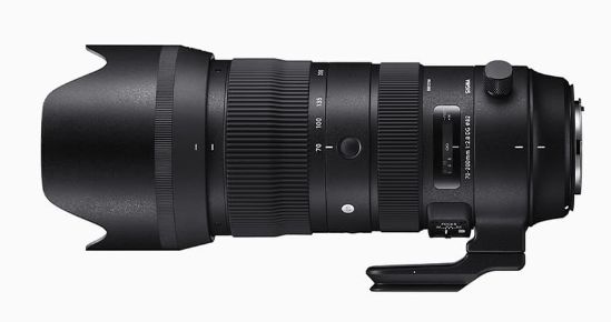 SIGMA 70-200mm F2.8 DG OS HSM | Sports